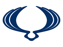 Import Ssangyong z USA